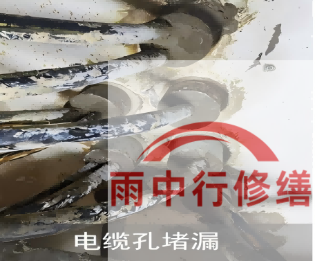 宝山电缆线空洞堵漏加固案例