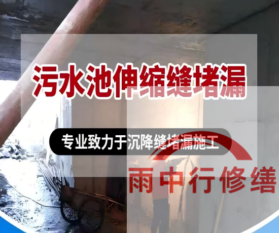 宝山某污水处理厂钢筋混凝土池堵漏案例